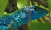 thumbnail-small-1.jpg