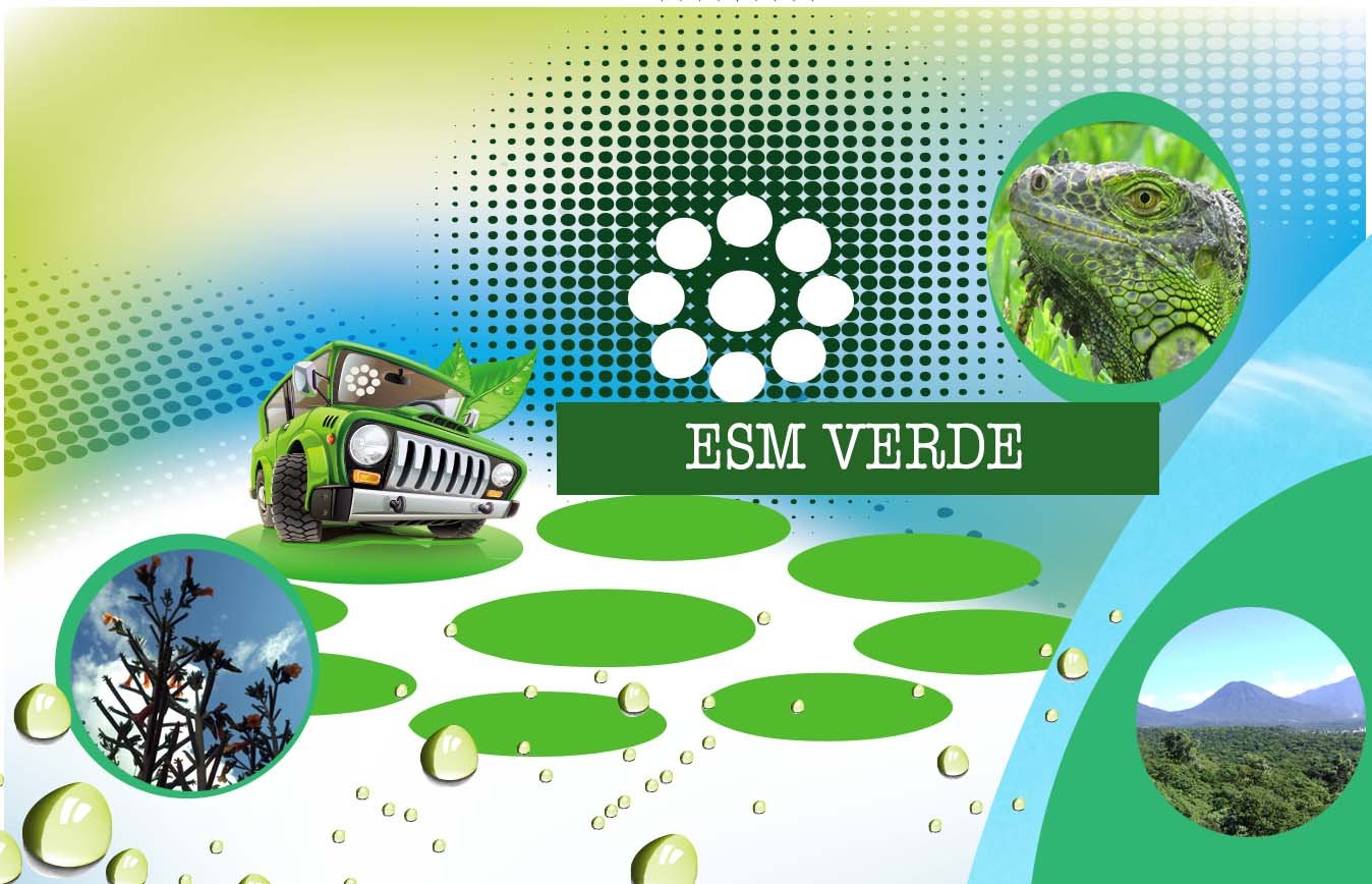 Main Slide Image 1