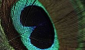 thumbnail-small-1.jpg